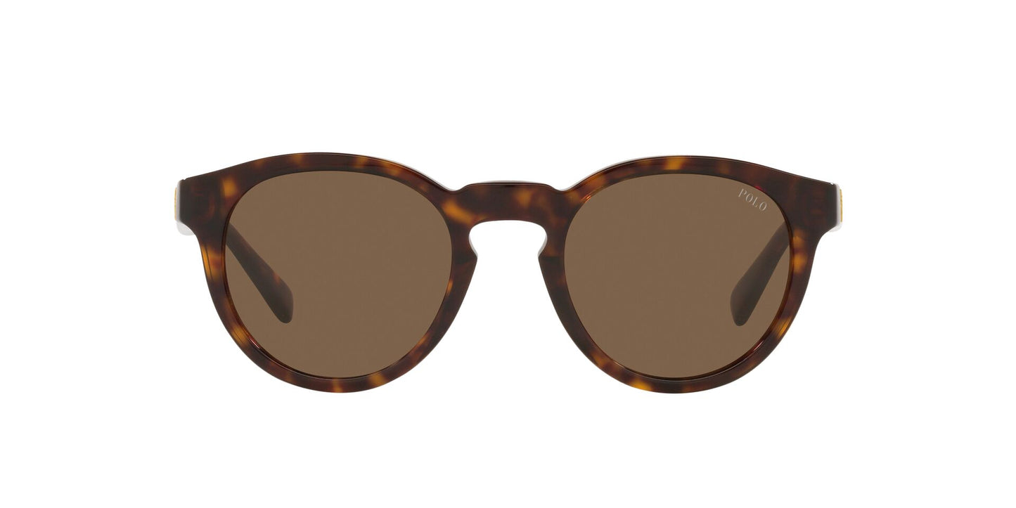 Lente de Sol Polo Ralph PH4184 Havana-Ópticas LUX, Ve Más Allá