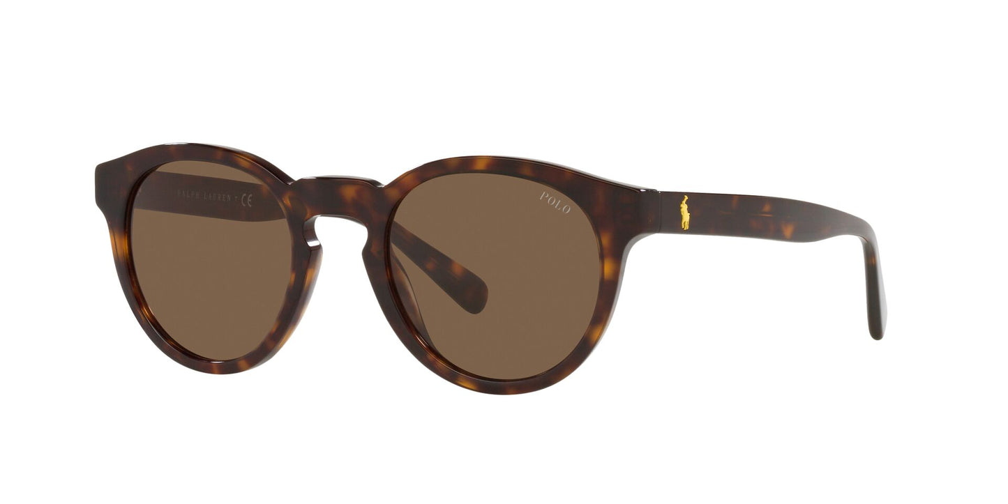 Lente de Sol Polo Ralph PH4184 Havana-Ópticas LUX, Ve Más Allá