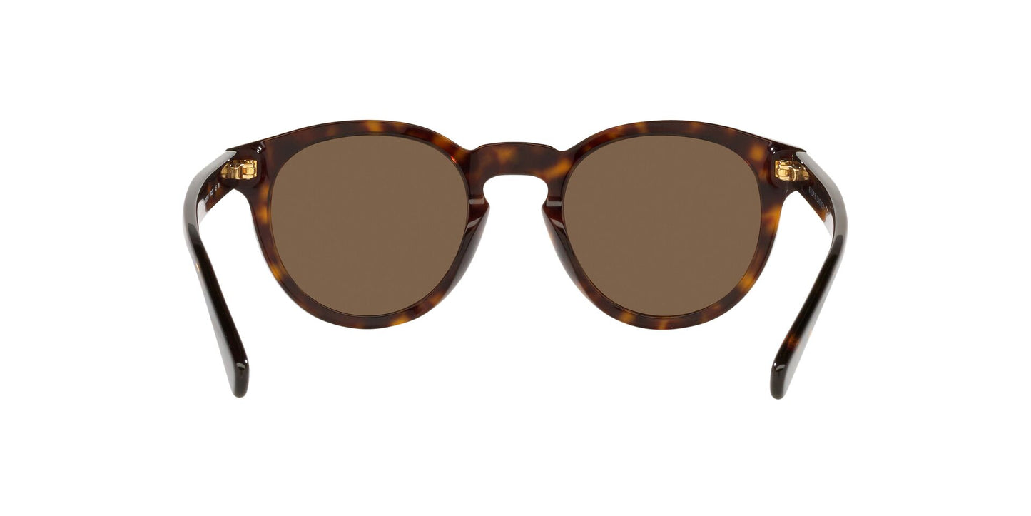 Lente de Sol Polo Ralph PH4184 Havana-Ópticas LUX, Ve Más Allá