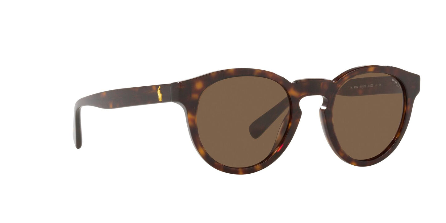 Lente de Sol Polo Ralph PH4184 Havana-Ópticas LUX, Ve Más Allá