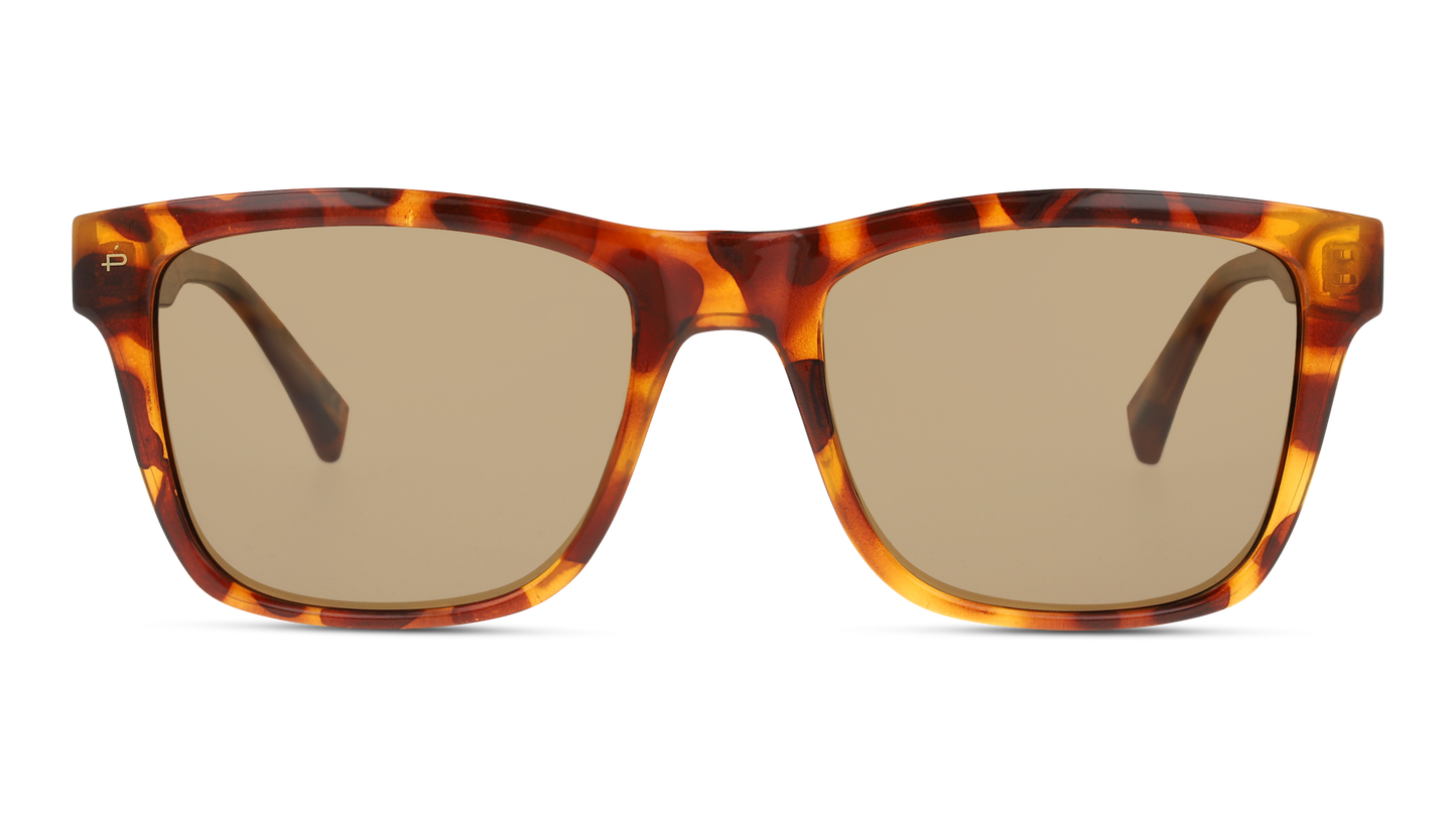 Lentes de Sol Privé Revaux THEBEAU Havana-Ópticas LUX, Ve Más Allá