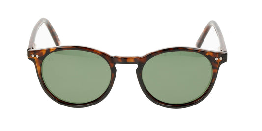 Lentes de Sol Privé Revaux THEMAESTRO Havana-Ópticas LUX, Ve Más Allá