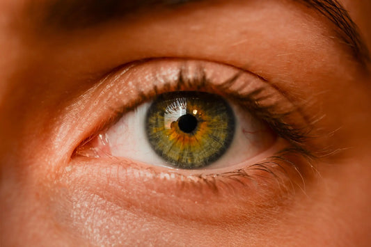 Iris del ojo