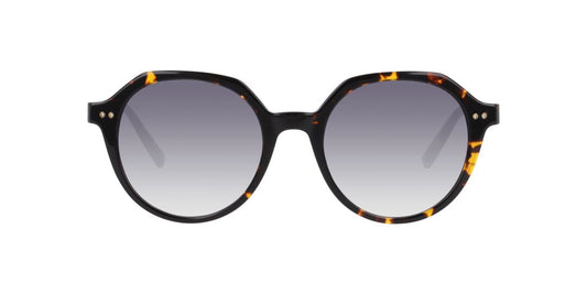 Lentes de Sol Tommy Hilfiger TH2212/S Havana