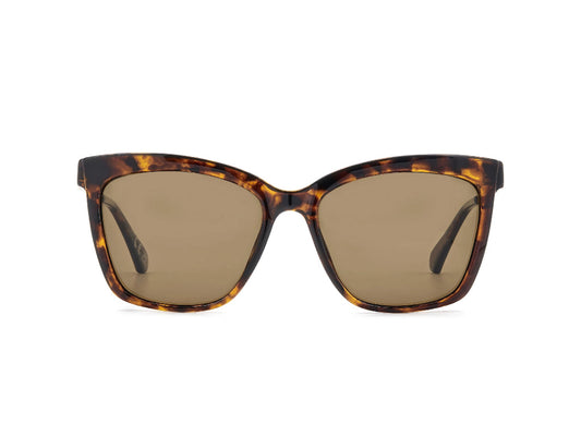 Lentes de Sol Privé Revaux ARTCRAWL/G/S Havana