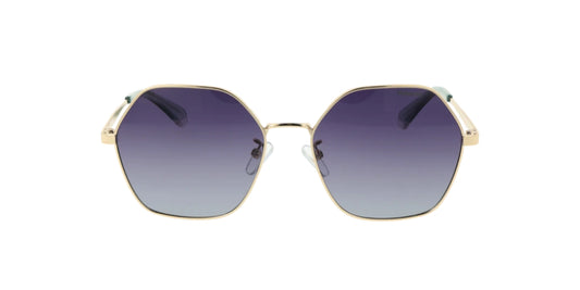 Lentes de Sol Polaroid PLD4205/G/S/X Dorado