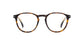 Lente Oftálmico David Beckham DB1018 Havana