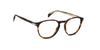 Lente Oftálmico David Beckham DB1018 Havana