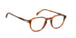 Lente Oftálmico David Beckham DB1140 Havana