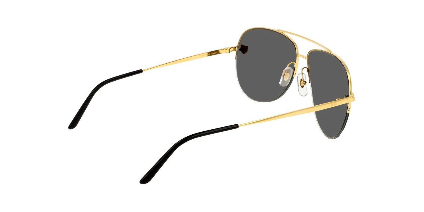 Lentes de Sol Cartier CT0065S Dorado-Ópticas LUX, Ve Más Allá