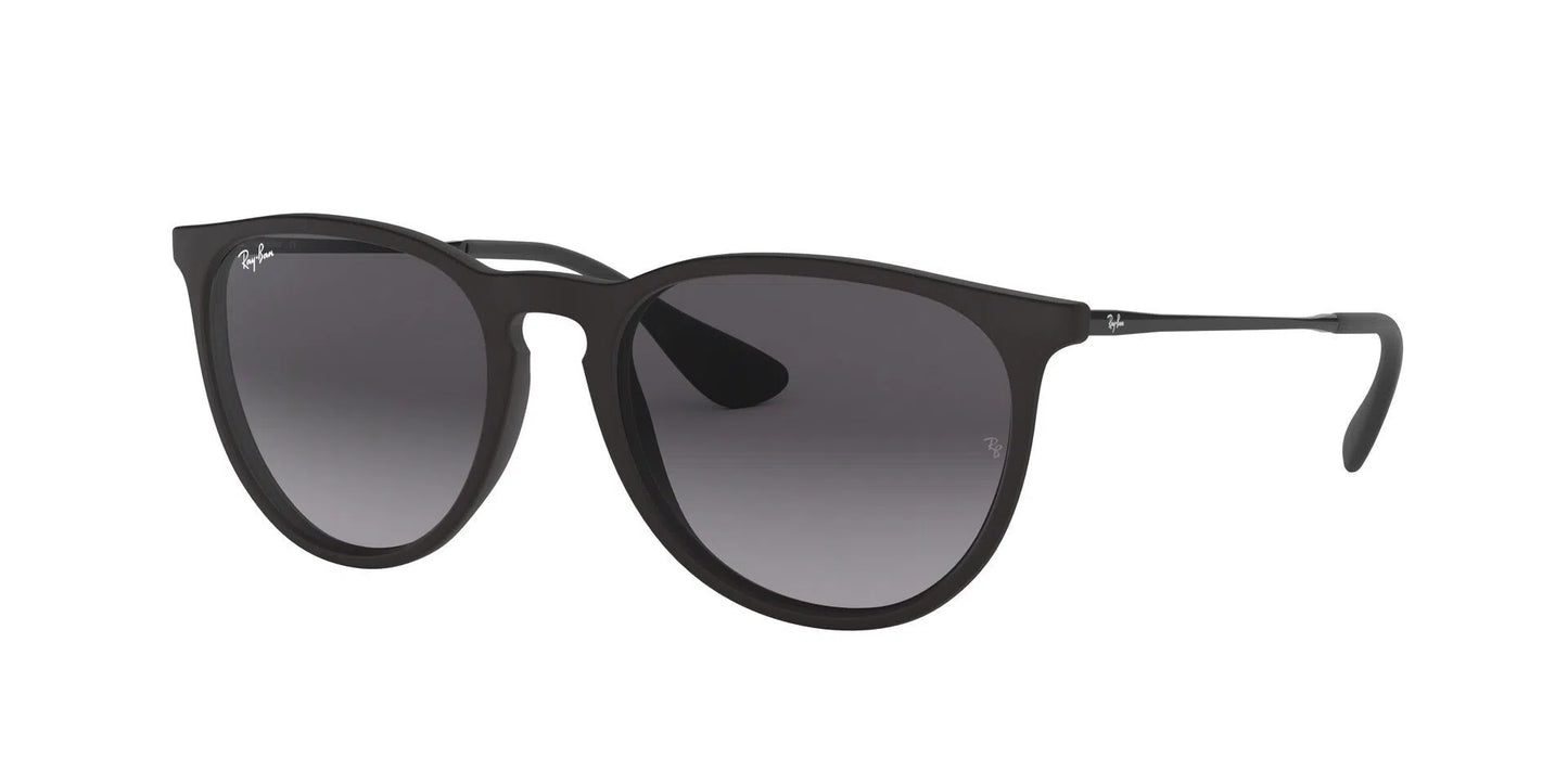 Lentes de Sol Ray Ban RB4171 Erika Negro-Ópticas LUX, Ve Más Allá