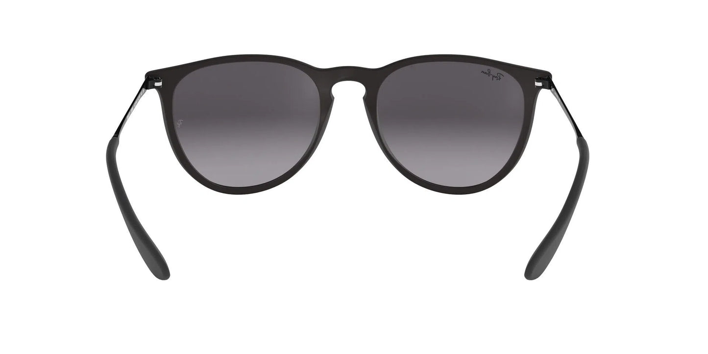 Lentes de Sol Ray Ban RB4171 Erika Negro-Ópticas LUX, Ve Más Allá