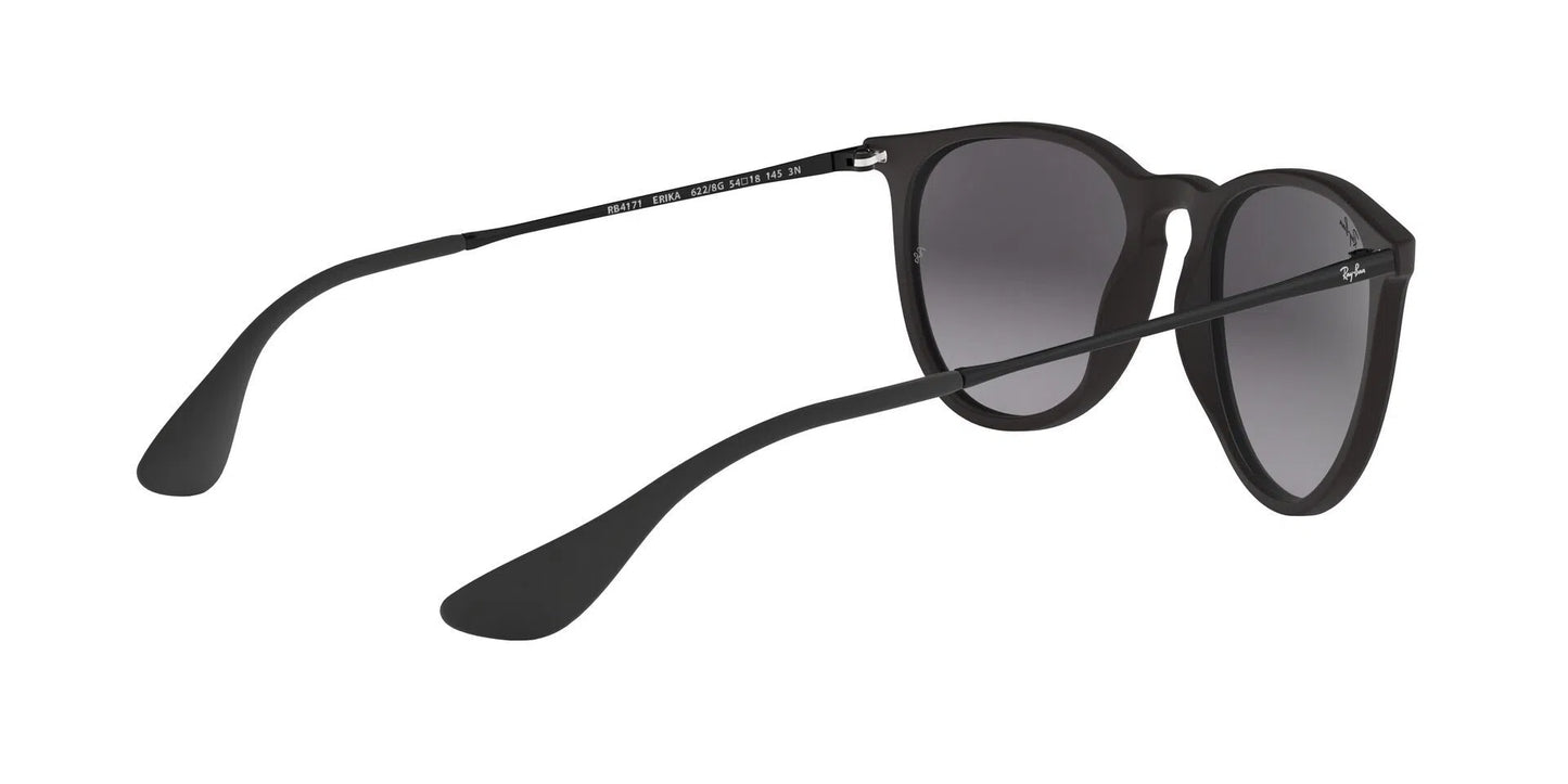 Lentes de Sol Ray Ban RB4171 Erika Negro-Ópticas LUX, Ve Más Allá