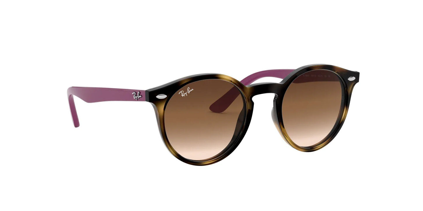 Lentes de Sol Ray Ban Infantil RJ9064S Havana-Ópticas LUX, Ve Más Allá