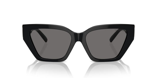 Lentes de Sol Tiffany TF4218 Negro