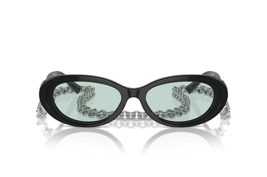 Lentes de Sol Tiffany TF4221 Negro
