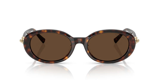 Lentes de Sol Tiffany TF4242D Havana