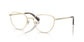 Lente Oftálmico Swarovski SK1029D Dorado