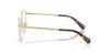 Lente Oftálmico Swarovski SK1029D Dorado