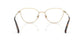 Lente Oftálmico Swarovski SK1029D Dorado