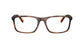 Lente Oftálmico Polo Ralph PH2291U Havana