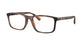 Lente Oftálmico Polo Ralph PH2291U Havana