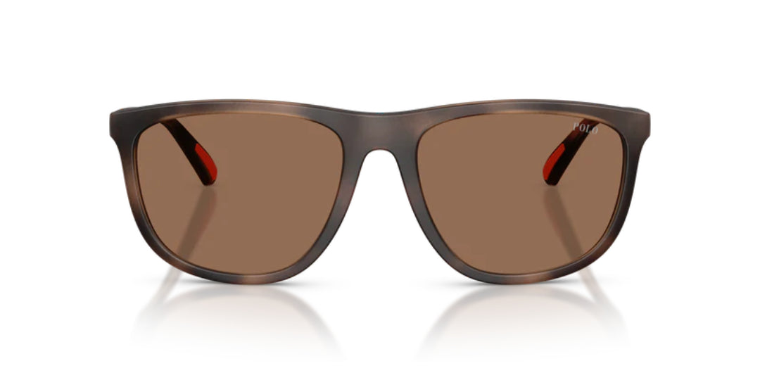 Lentes de Sol Polo Ralph PH4231U Havana