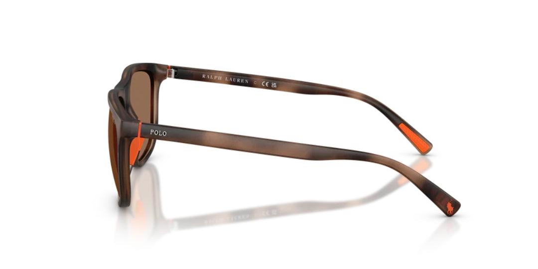 Lentes de Sol Polo Ralph PH4231U Havana