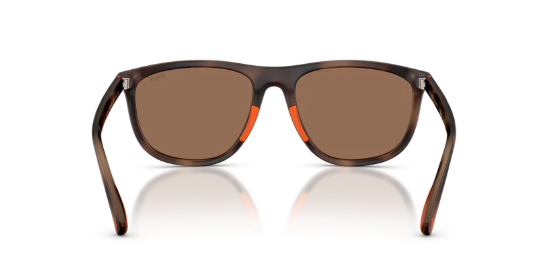Lentes de Sol Polo Ralph PH4231U Havana