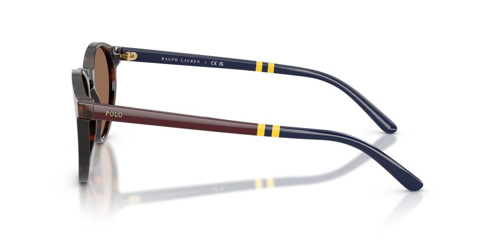 Lentes de Sol Polo Ralph PH4236 Havana
