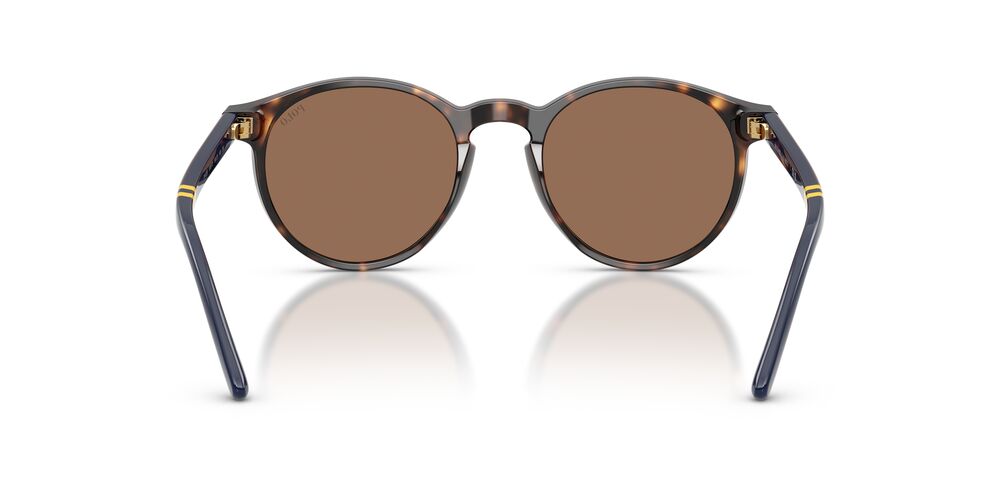 Lentes de Sol Polo Ralph PH4236 Havana