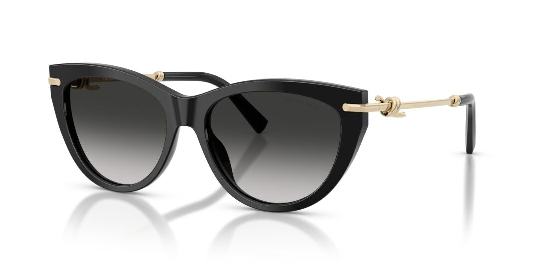 Lentes de Sol Tiffany TF4253 Negro