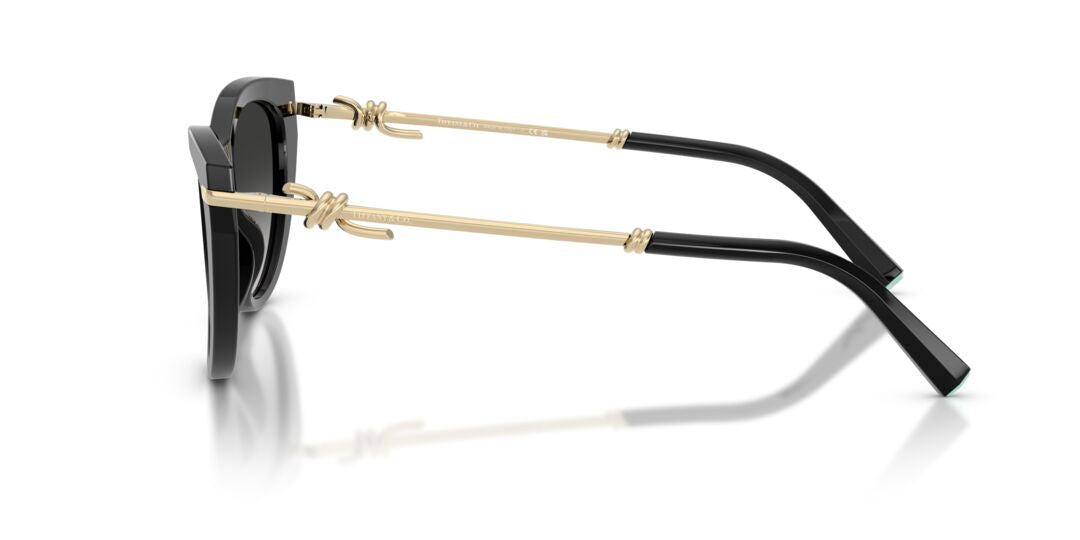 Lentes de Sol Tiffany TF4253 Negro
