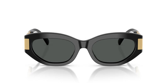 Lentes de Sol Versace VE4501 Negro