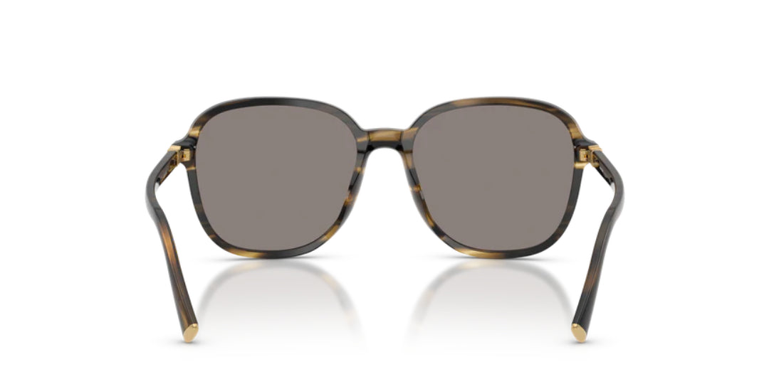 Lentes de Sol Miu Miu MUB01S Havana