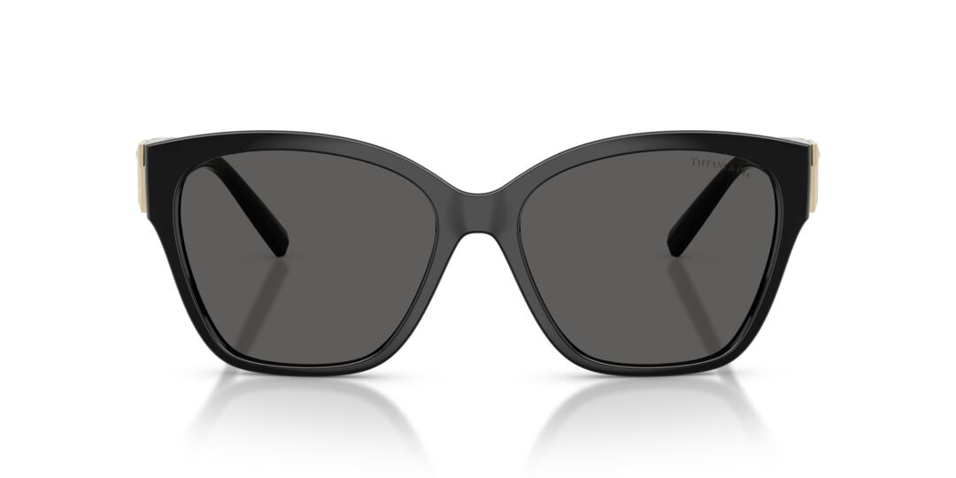 Lentes de Sol Tiffany TF4254U Negro