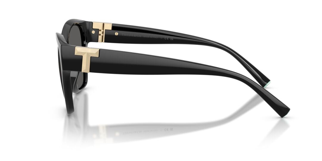 Lentes de Sol Tiffany TF4254U Negro