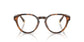 Lente Oftálmico Polo Ralph PH2304U Havana