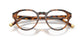 Lente Oftálmico Polo Ralph PH2304U Havana