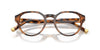 Lente Oftálmico Polo Ralph PH2304U Havana