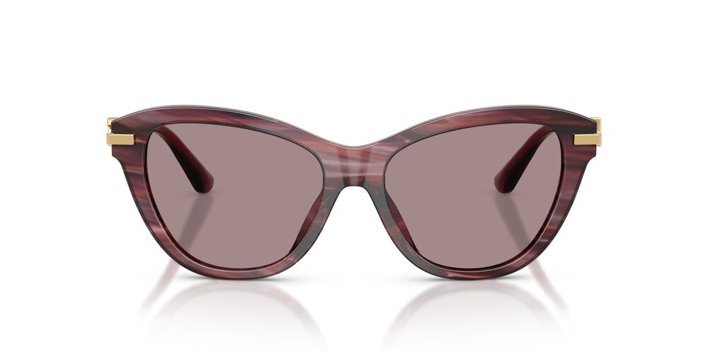 Lentes de Sol Dolce Gabbana DG4534 Morado