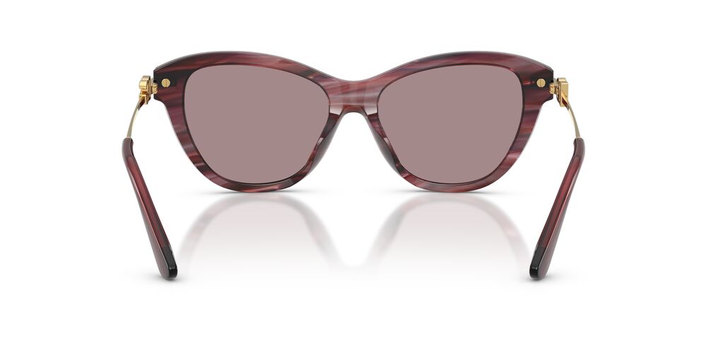 Lentes de Sol Dolce Gabbana DG4534 Morado