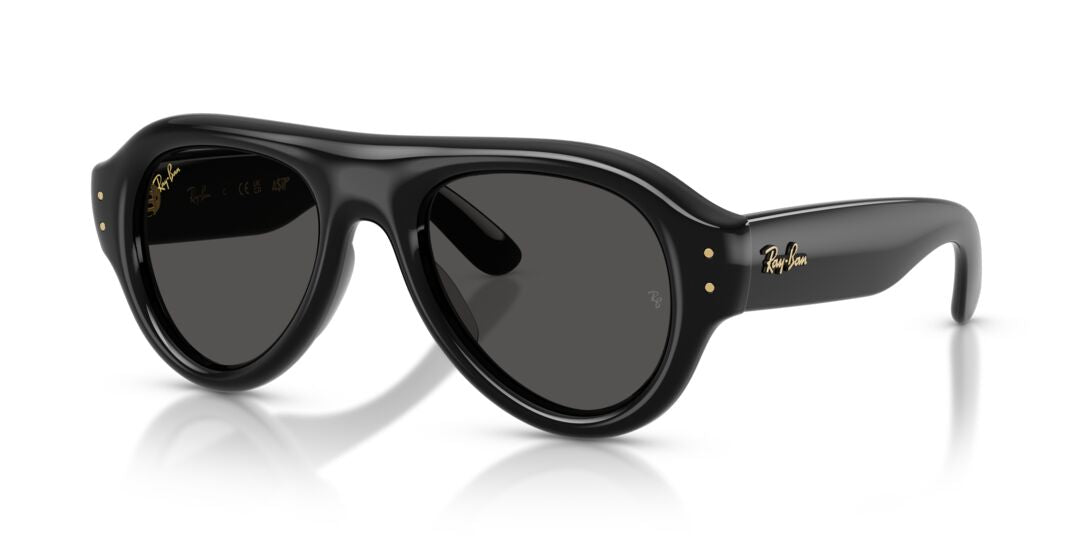 Lentes de Sol Ray Ban RB4925 Negro