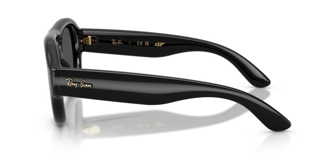 Lentes de Sol Ray Ban RB4925 Negro