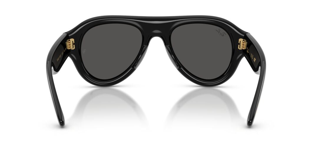 Lentes de Sol Ray Ban RB4925 Negro