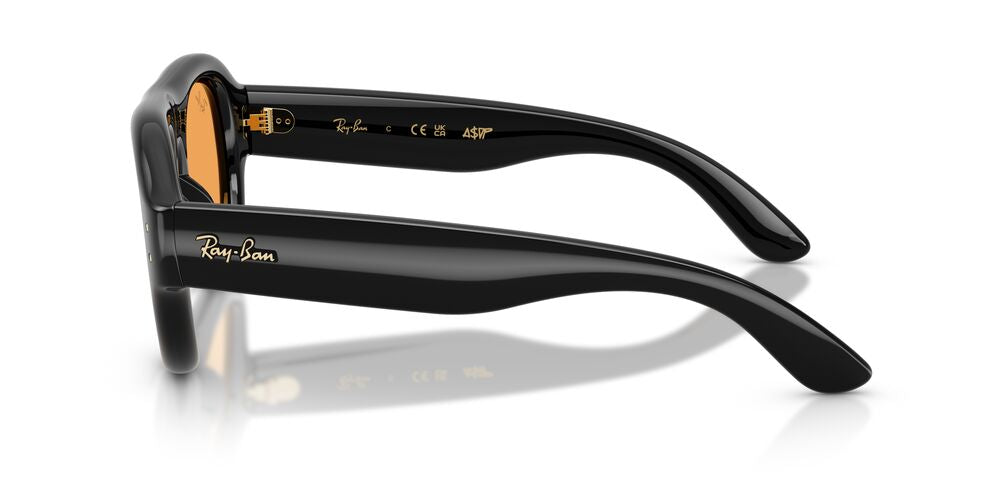 Lentes de Sol Ray Ban RB4925 Negro