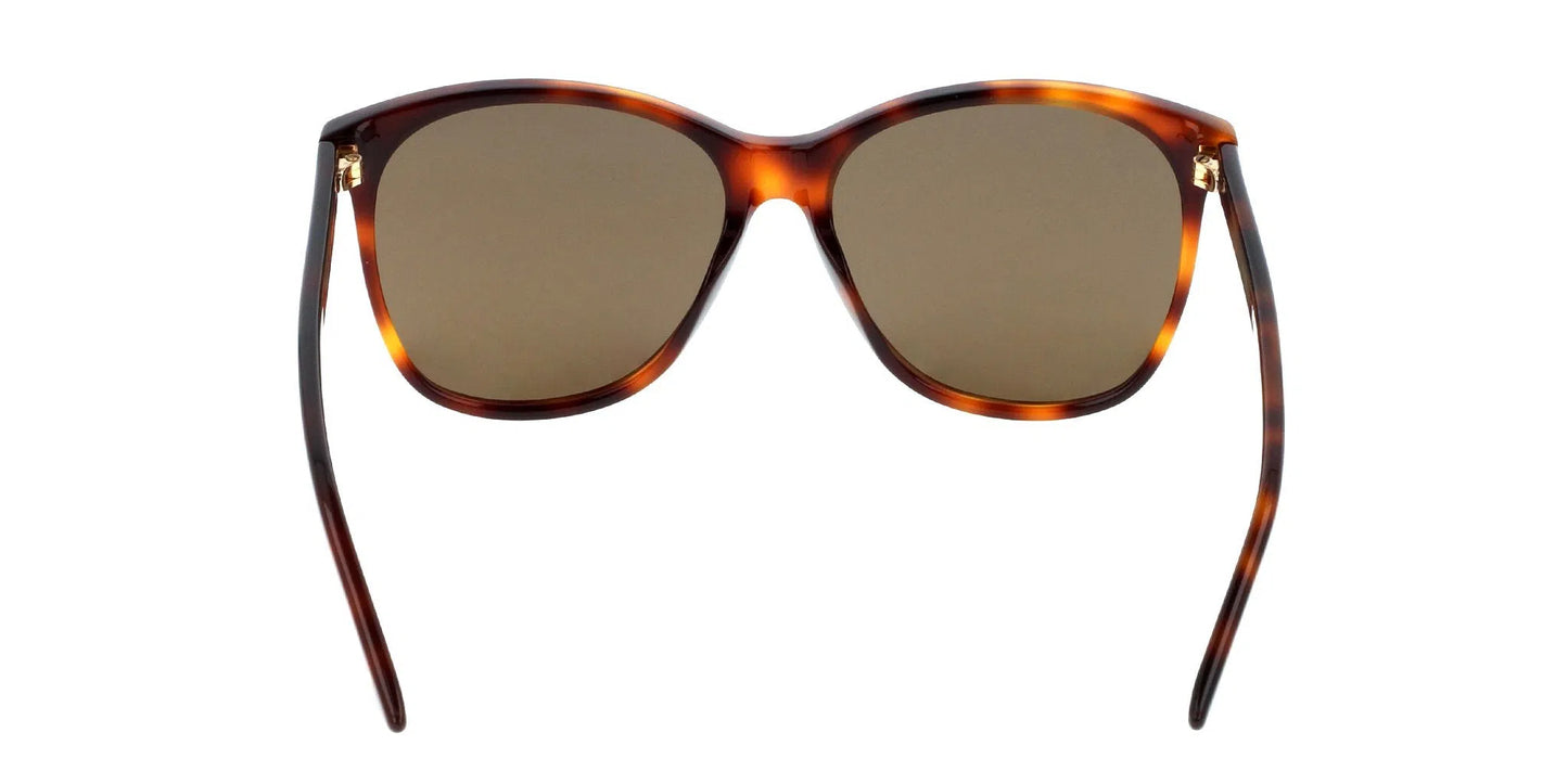 Lentes de Sol Gucci GG0024S Havana-Ópticas LUX, Ve Más Allá