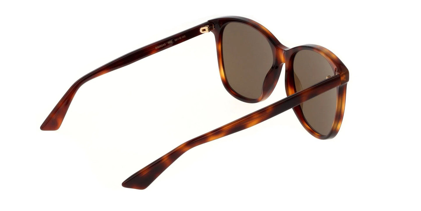 Lentes de Sol Gucci GG0024S Havana-Ópticas LUX, Ve Más Allá