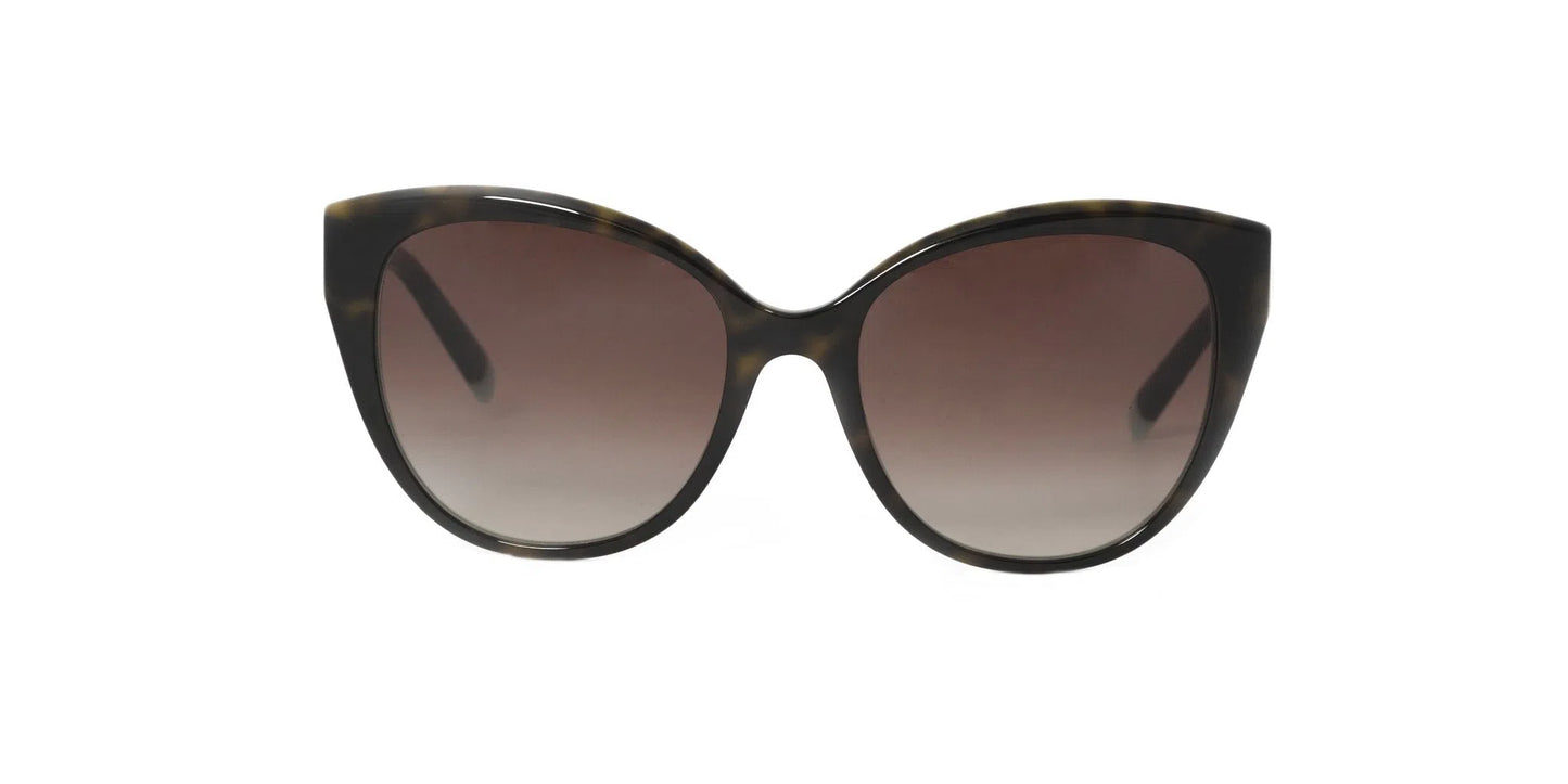 Lentes de Sol Tiffany TF4166 Havana-Ópticas LUX, Ve Más Allá