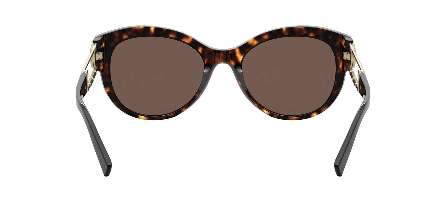 Lentes de Sol Versace VE4389 Havana-Ópticas LUX, Ve Más Allá